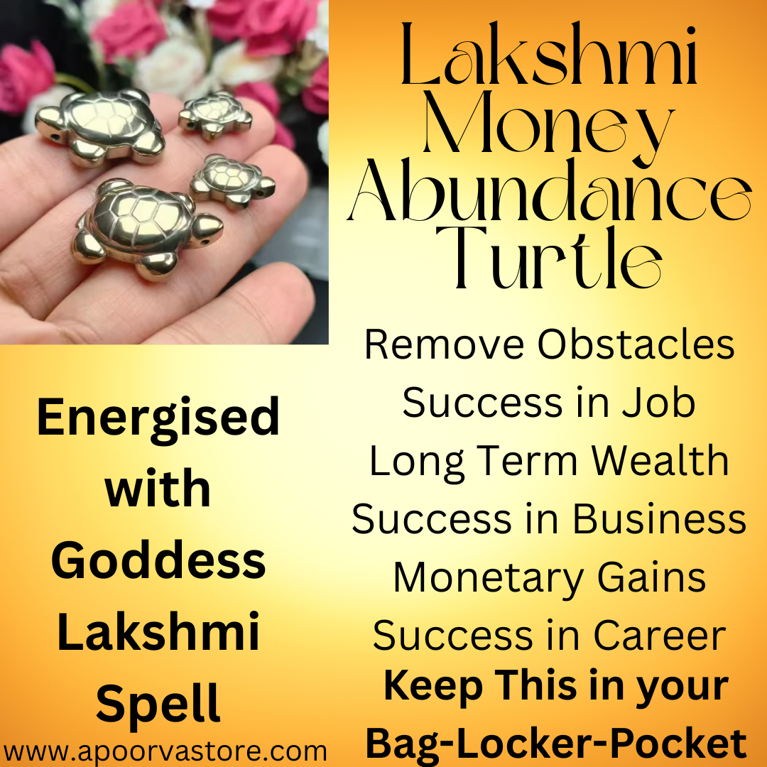 Lakshmi Spell Turtle With Pyrite Crystal by crystall and Herbs