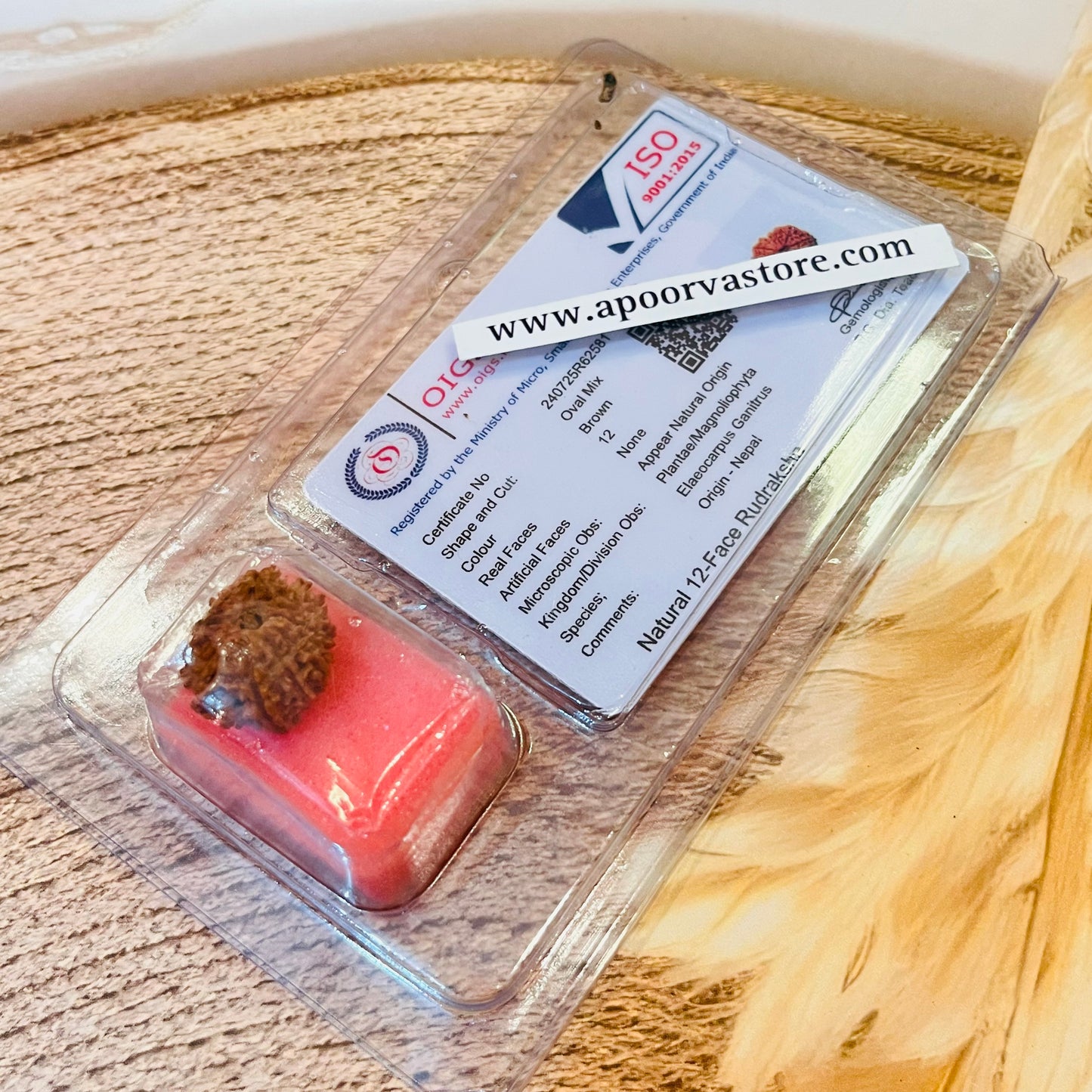 12 Mukhi Rudraksh with Crrtificate by Crystall and Herbs