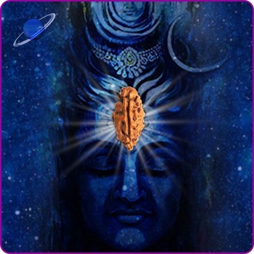 Rudraksh