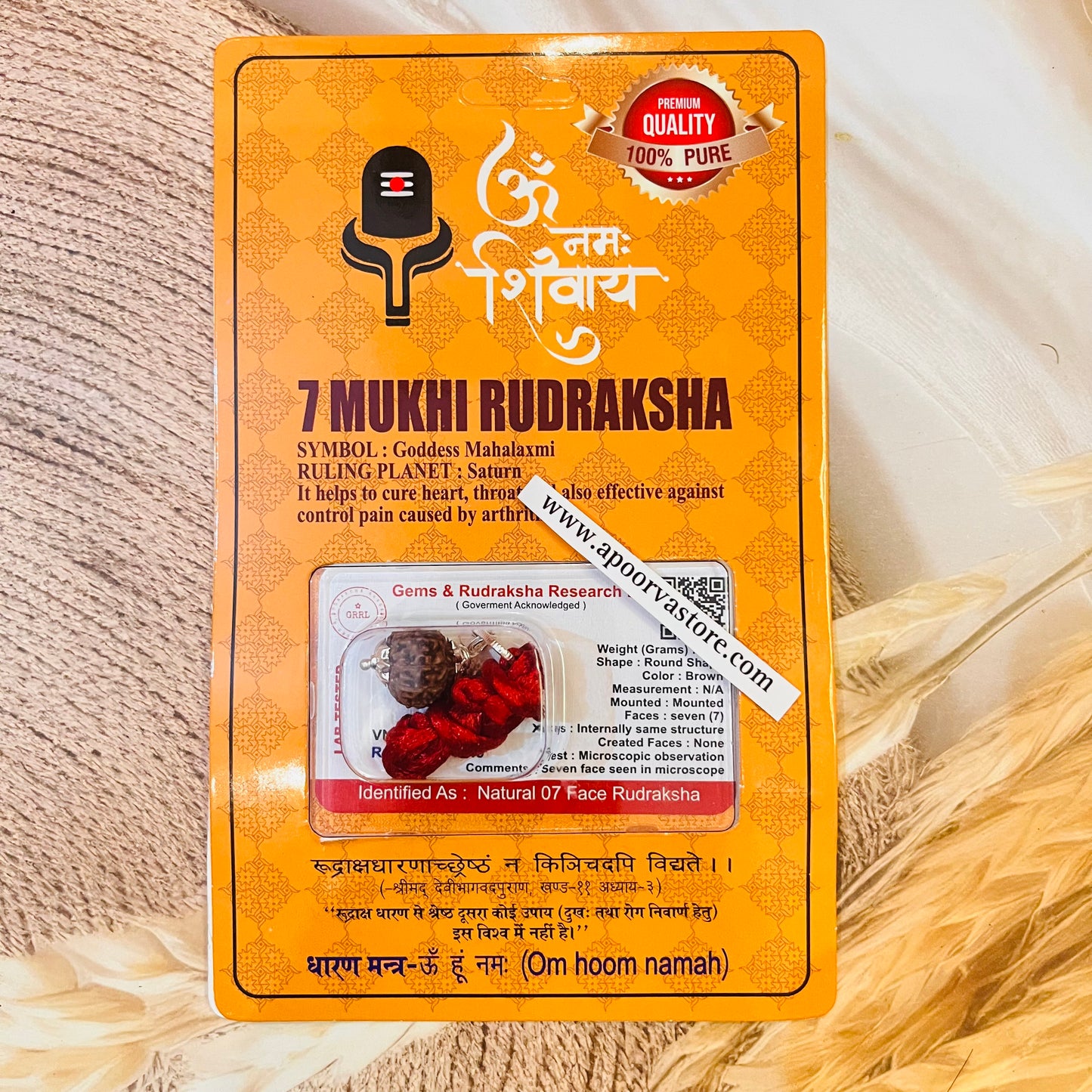 7 Mukhi Rudraksh with Certificate by Crystall and Herbs